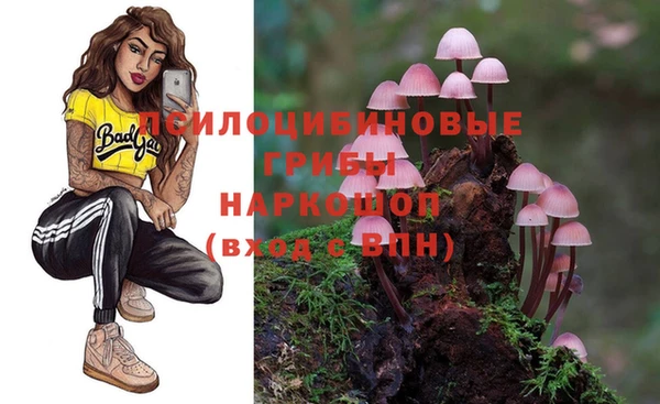 a pvp Гусев