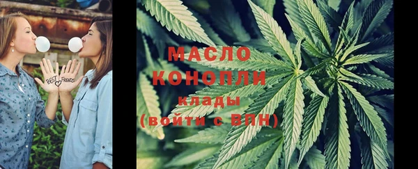 ешки Гусь-Хрустальный