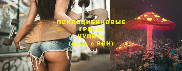 ешки Гусь-Хрустальный
