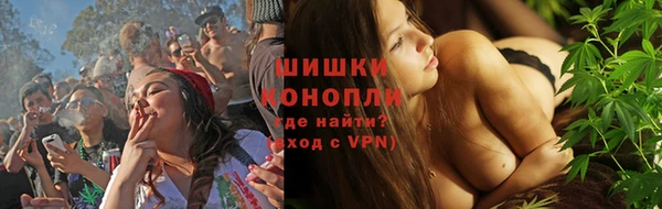 ешки Гусь-Хрустальный