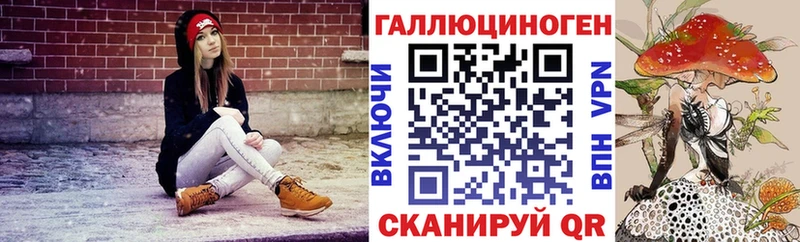 Купить закладки  Плёс  Галлюциногенные грибы Psilocybe 