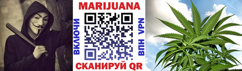 Купить закладки  Плёс  Канабис сатива 